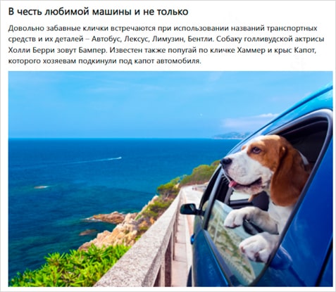 Какую кличку дать домашнему любимцу