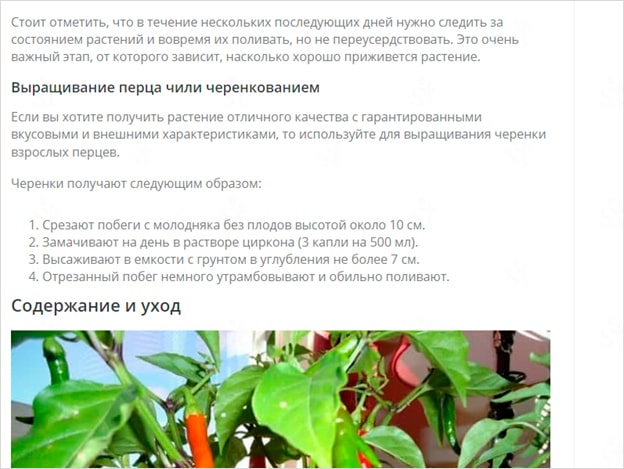 Релевантная часть статьи, описывающая выращивание перца