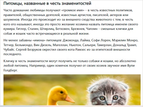 Сайт, помогающий определиться с кличкой для домашнего питомца